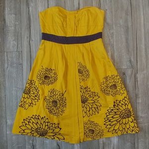 Anthropologie Dress with Embroidered Details